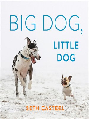 cover image of Big Dog, Little Dog
